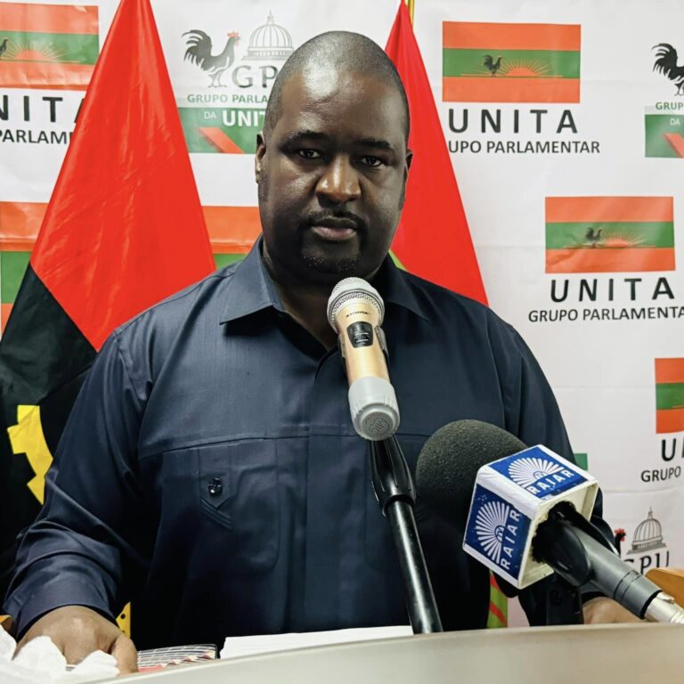 Presidente do Grupo Parlamentar da UNITA, Liberty Chiyaka